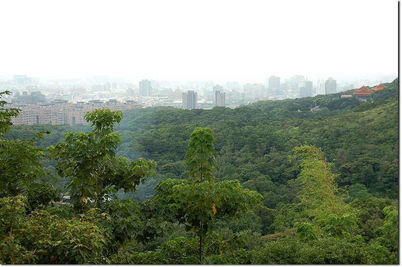 新路坑山(龜崙山)俯瞰桃園市區 1