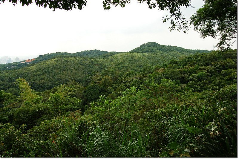 新路坑山(龜崙山)望虎頭山公園