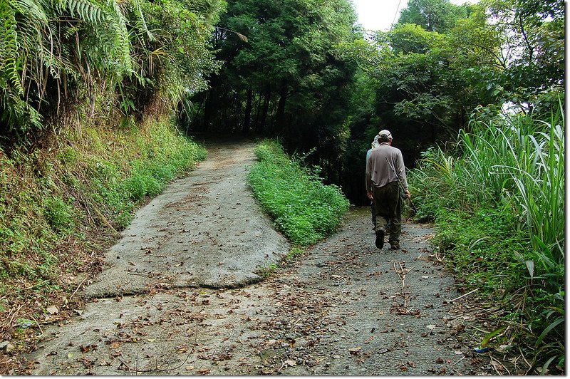 潭南山登山步道岔路 1