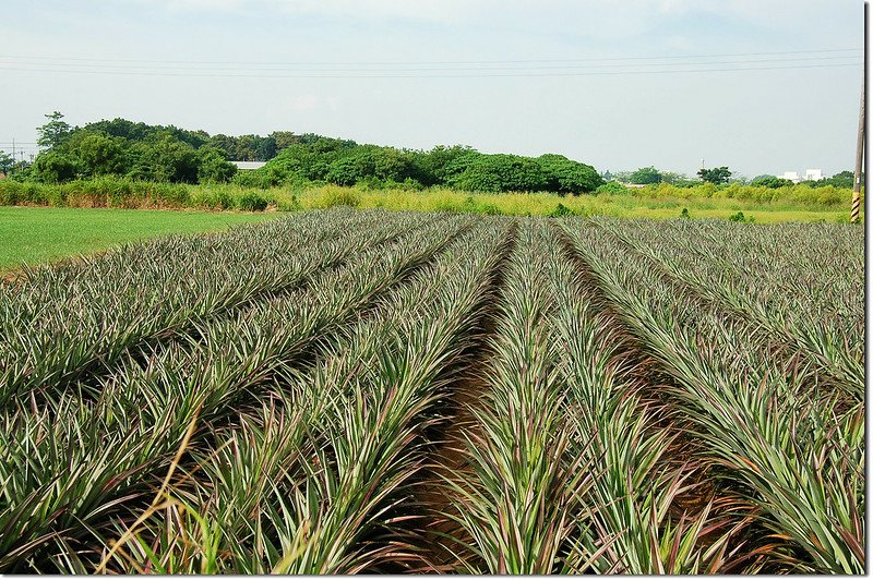 那拔林圖根點已遺失