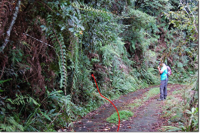 西關刀山北峰登山口