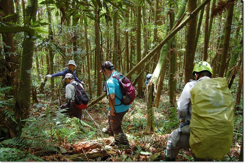 西關刀山東南峰登山路徑