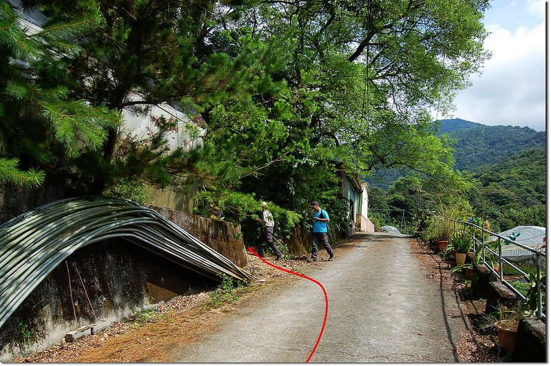 內楓仔林山登山口