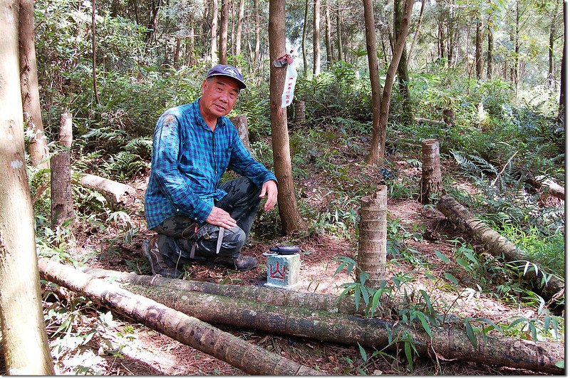 內楓仔林山山頂 1