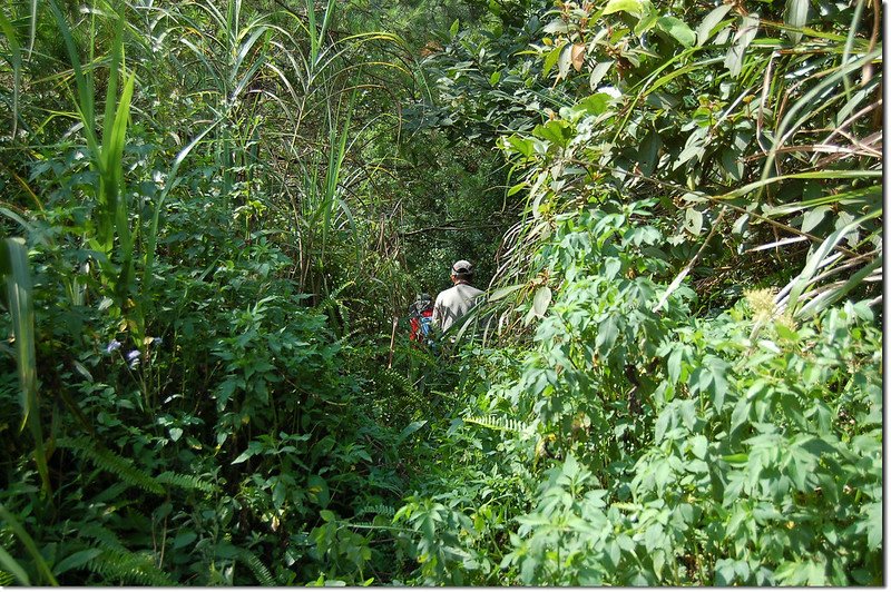 豐林口山登山路徑 1