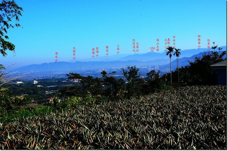 江西林山山頂向西北展望 1-1