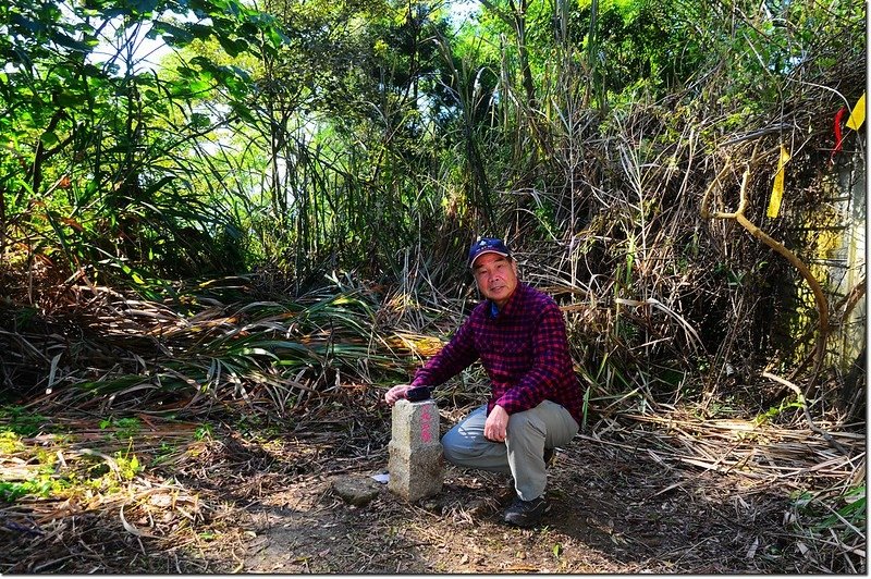 藤湖山山頂