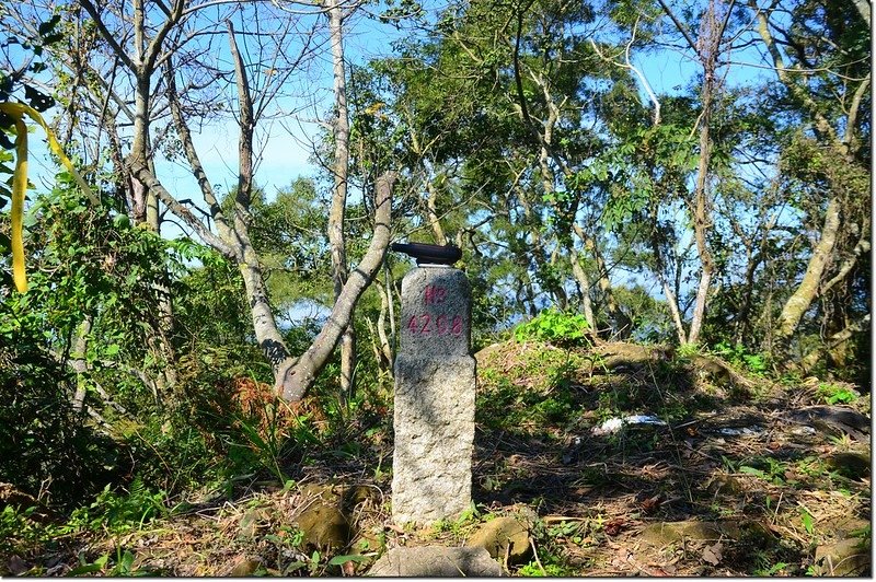 陳東坑山二等三角點(#4208 Elev. 650 m) 1