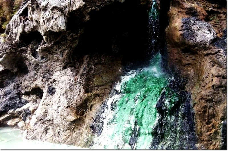 十坑野溪溫泉(picture by David)