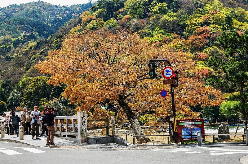 嵐山渡月橋 2