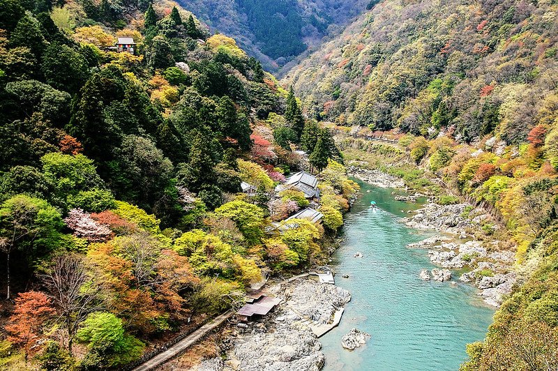 展望台俯瞰大堰川峽谷 8