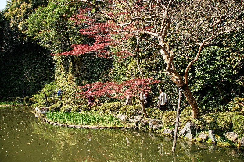 平安神宮賞櫻 (13)