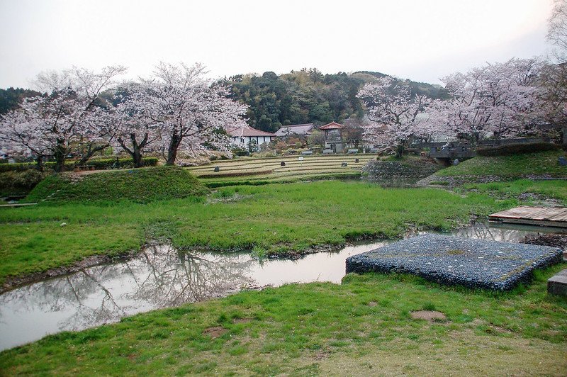 石川縣九谷燒美術館庭園 (87)