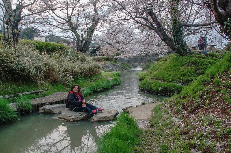 石川縣九谷燒美術館庭園 (81)