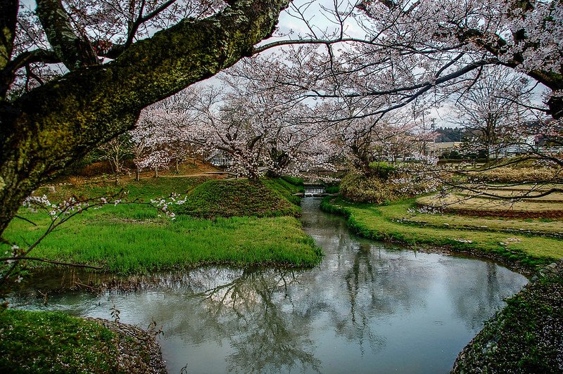 石川縣九谷燒美術館庭園 (61)