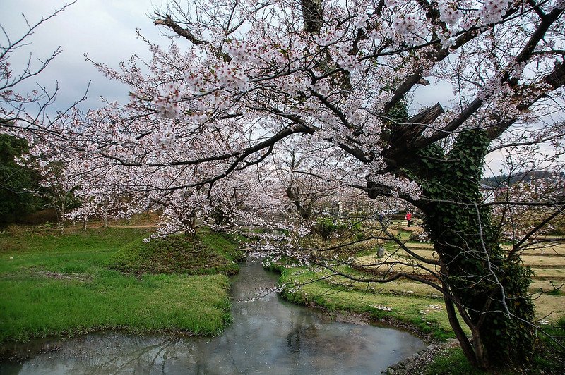 石川縣九谷燒美術館庭園 (37)