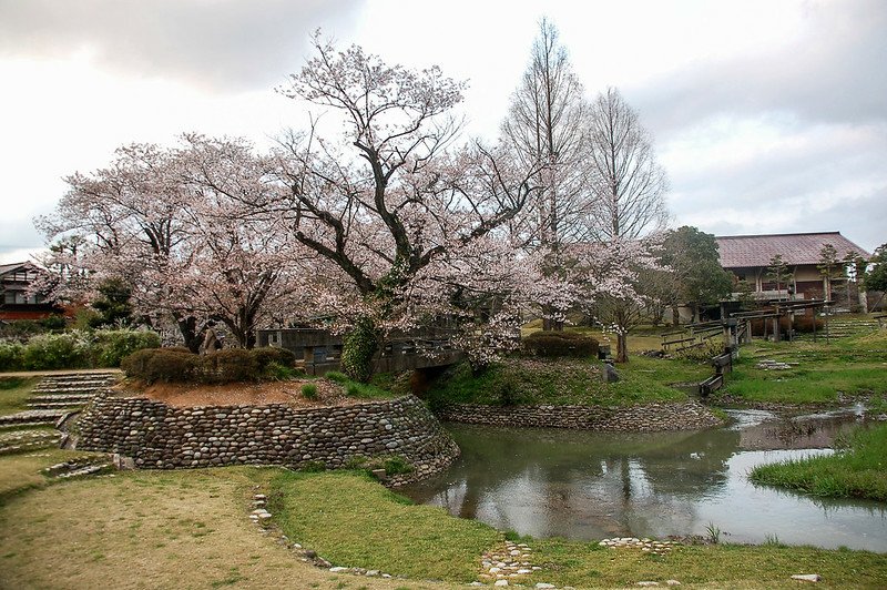 石川縣九谷燒美術館庭園 (31)