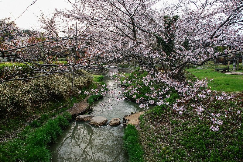 石川縣九谷燒美術館庭園 (17)