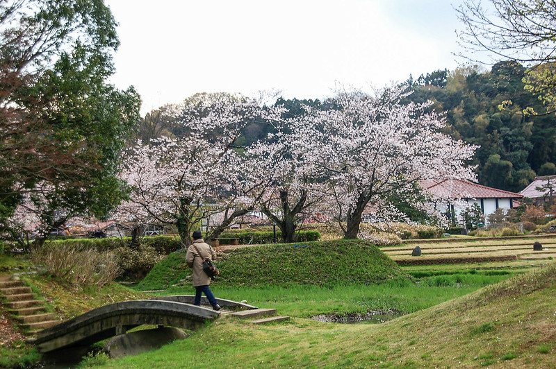 石川縣九谷燒美術館庭園 (7)