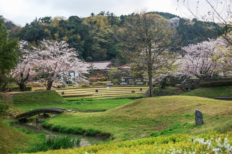 石川縣九谷燒美術館庭園 (2)