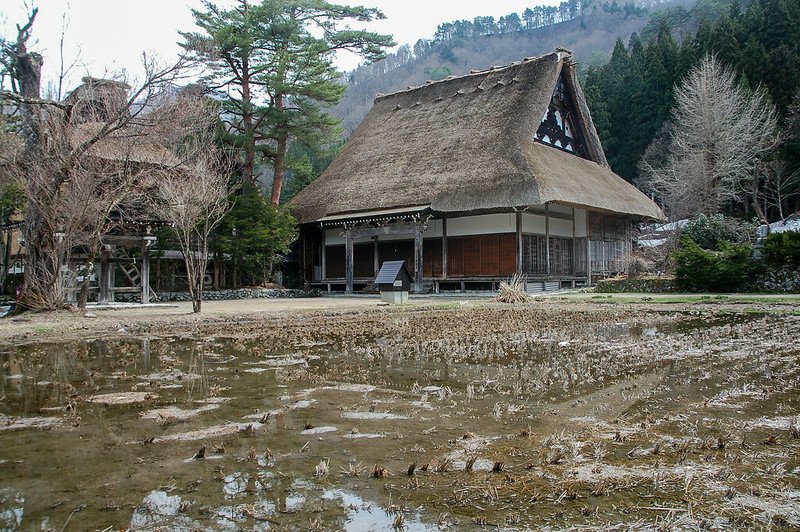 白川鄉合掌造聚落-- 明善寺 (1)