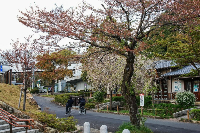 歧阜公園 29