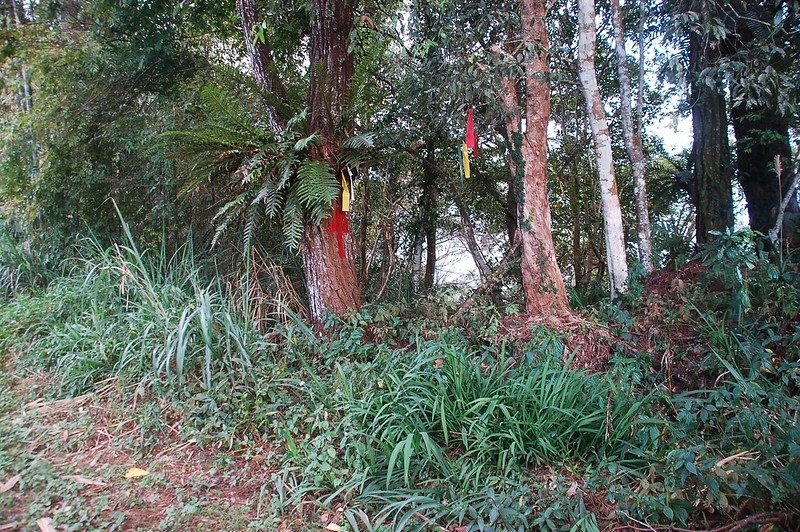 斯拉巴庫山第二登山口