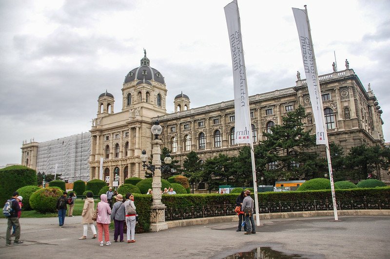 自然史博物館(Naturhistoriches Museum) 4