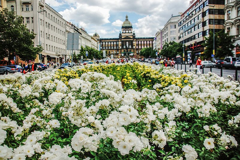 瓦茨拉夫廣場(Wenceslaus Square) 1