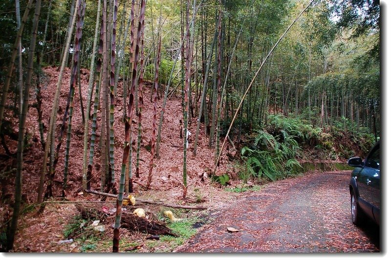 埋石山登山口