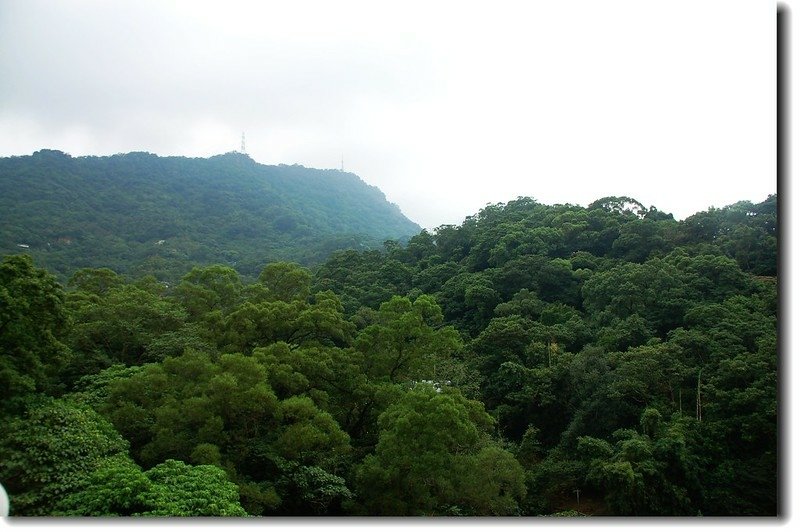 松山慈惠堂仰望南港山