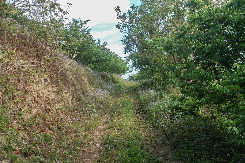 梅園間泥土產業道路