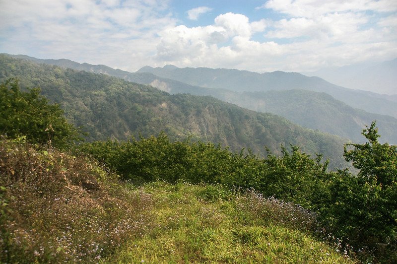 梅園登山口北望