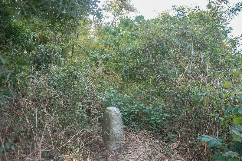 邦埤山基點位置