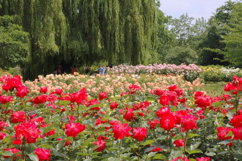 Regent&apos;s Park