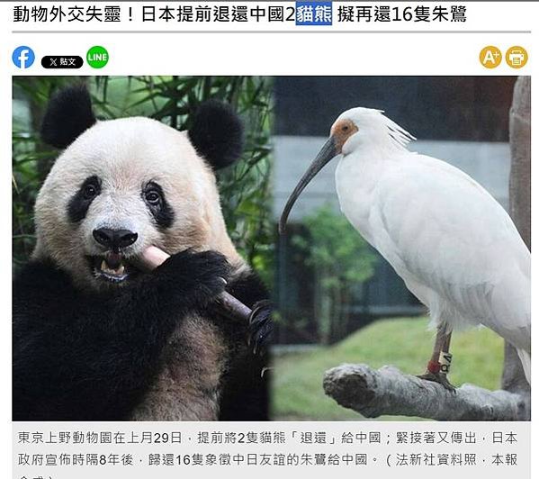 「貓熊外交」「送還」歸零-美國首都華盛頓的國家動物園（Nat