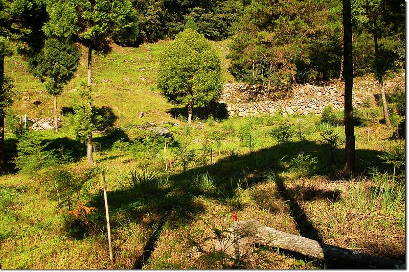 白毛山林道工寮舊址