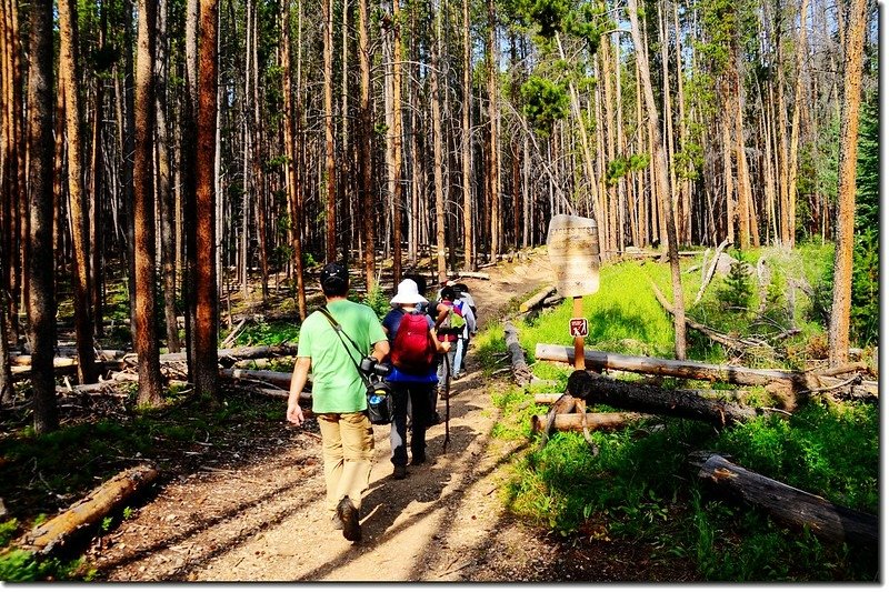 Entering Eagles Nest Wilderness area