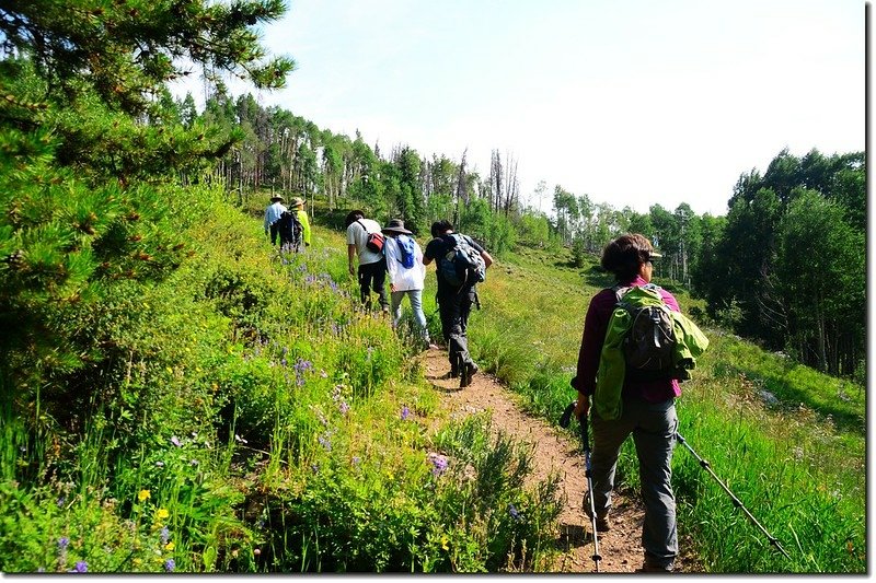 The Meadow Creek Trail 3