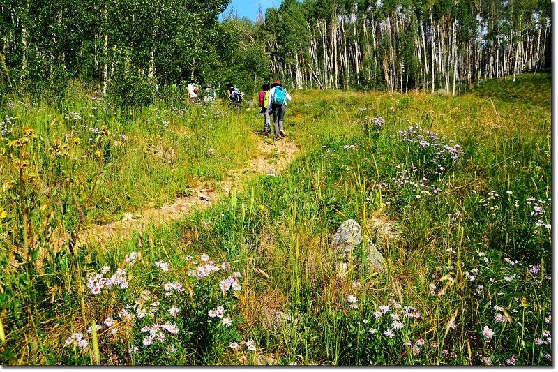 The Meadow Creek Trail 4