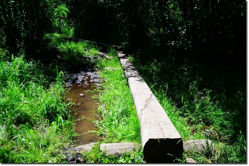 Wooden bridges on the muddy sections