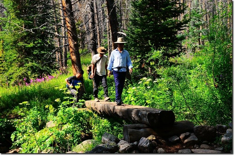 Crossing log bridge at Meadow Creek 2