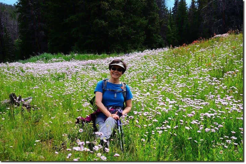 Wildflowers blooming along the trail (16)