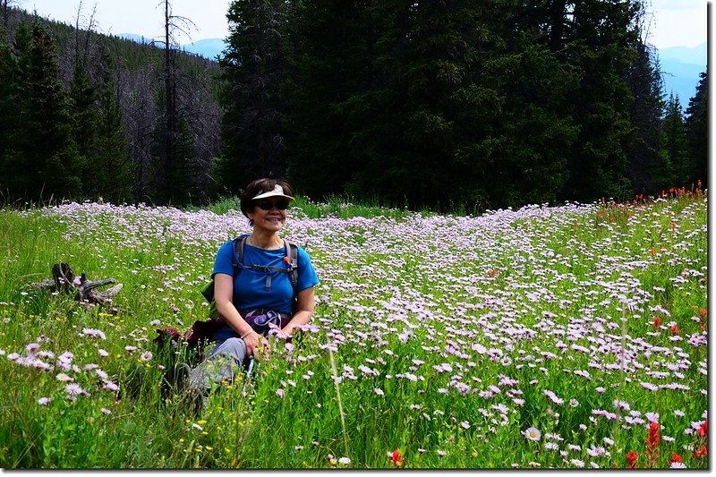 Wildflowers blooming along the trail (15)