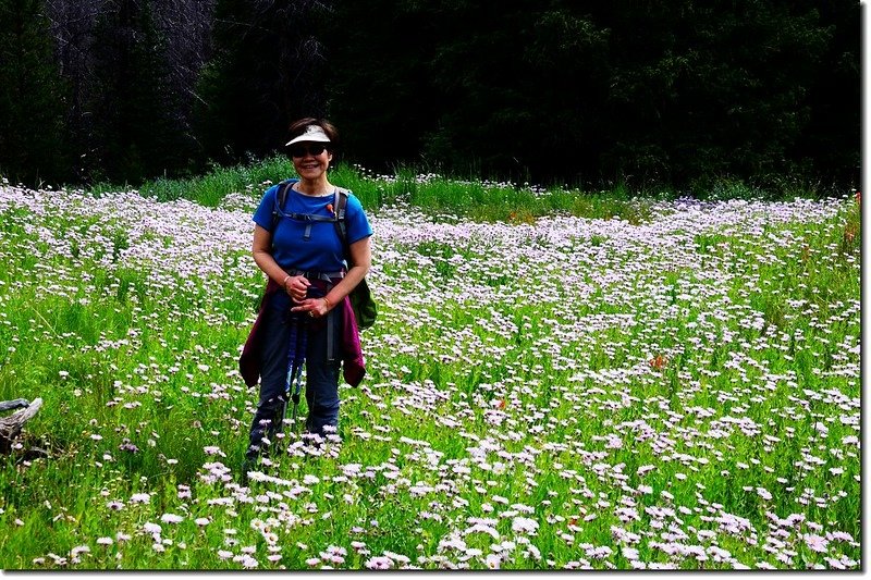 Wildflowers blooming along the trail (14)