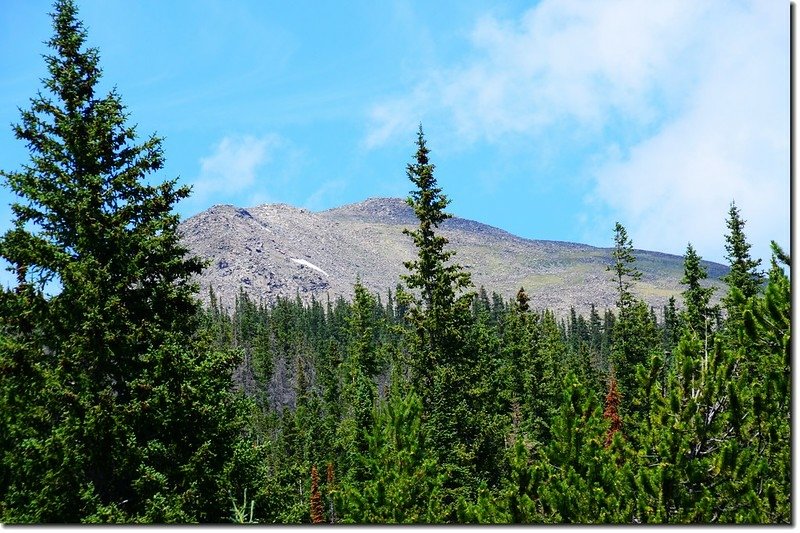 The forest briefly opens with a glimpse of the upper valley  3