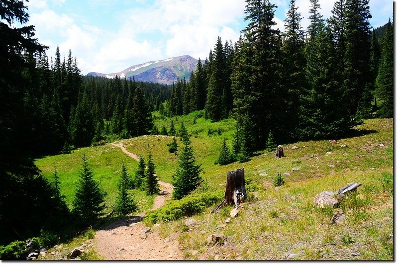 Chief Mountain from the trail 1