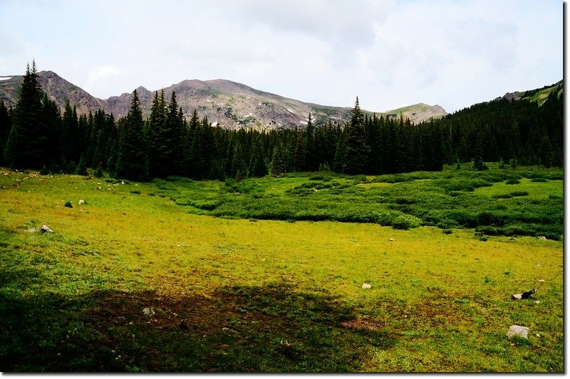 The second meadow with a revealing look at the entire upper valley 1