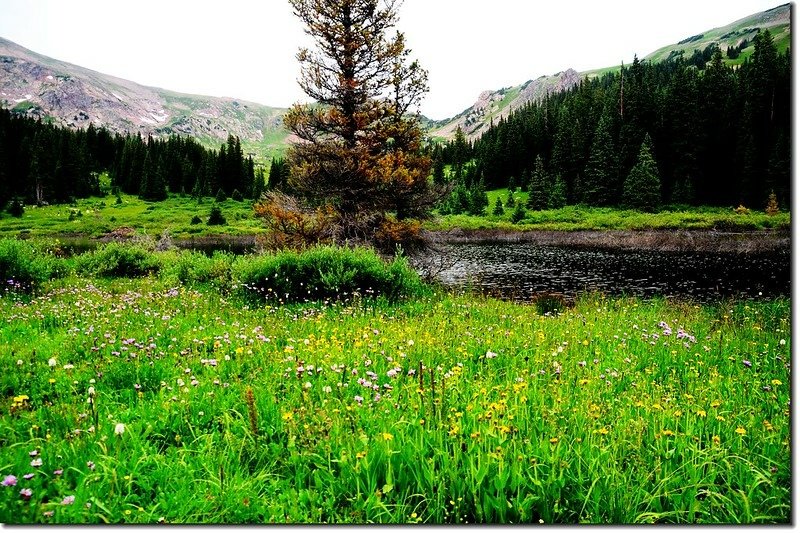 A pond along the trail 2