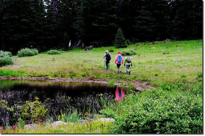 A pond along the trail 3